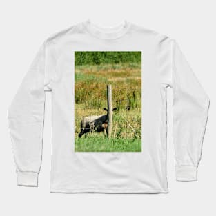 Peek a boo Long Sleeve T-Shirt